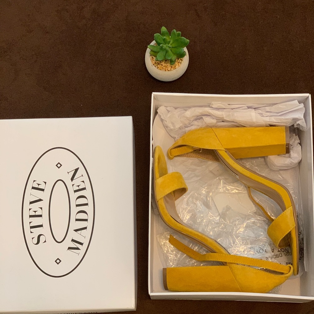 Steve Madden Carrson